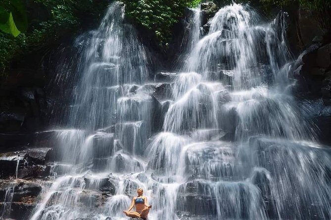 Best of Ubud Waterfalls, Tegalalang Rice Terrace and Swing Tour - The Sum Up