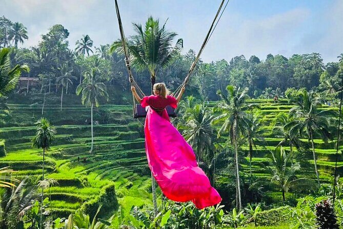 Best of Ubud with Jungle Swing Experience - Who Will Enjoy This Tour the Most?