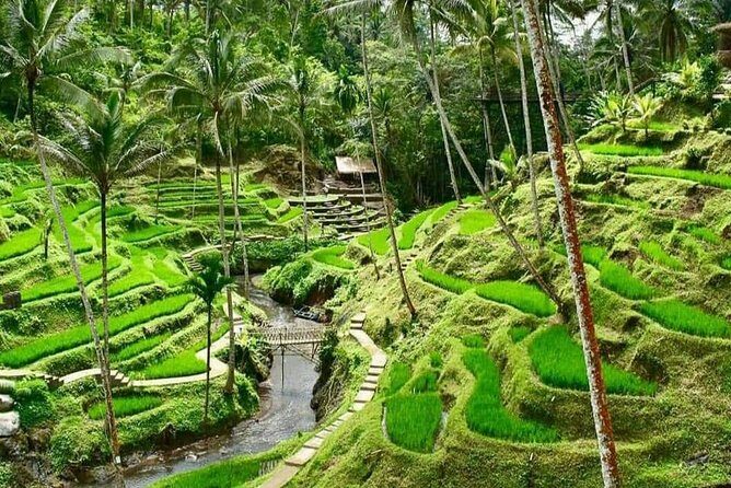 Best of Ubud With Ulu Petanu Waterfall Private Guided Tour - A Detailed Look at the Ubud Highlights