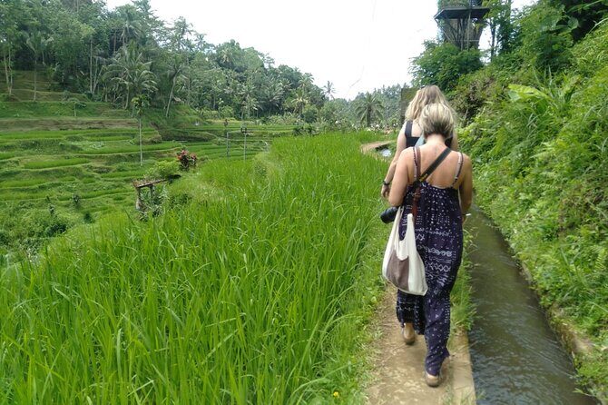 Best of Ubud With Ulu Petanu Waterfall Private Guided Tour - Who This Tour Is Best For