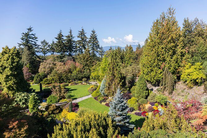 Best of Vancouver Private Tour - An Overview of the Experience