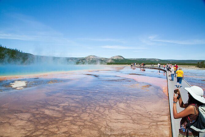 Best of Yellowstone Guided Tour from Bozeman - Private Tour - A Deep Dive Into the Experience