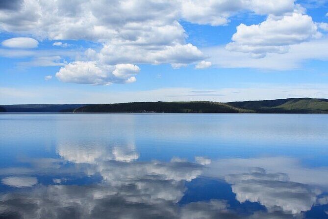 Best of Yellowstone Tour from Paradise Valley - Private Tour - Exploring the Itinerary: What You Can Expect