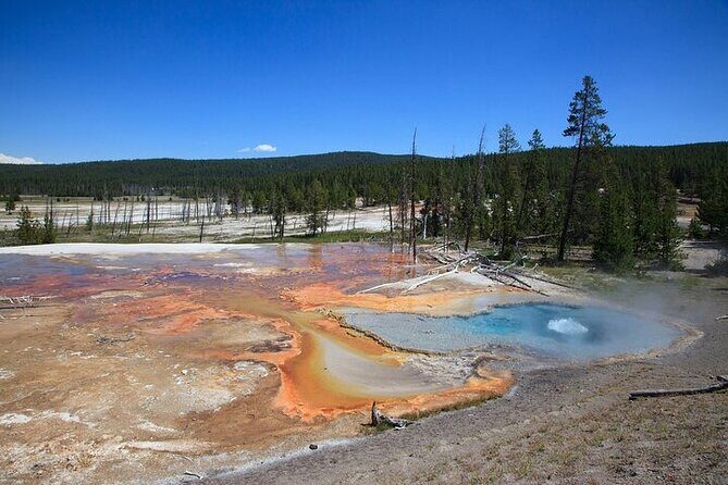 Best of Yellowstone Tour from Paradise Valley - Private Tour - Final Thoughts