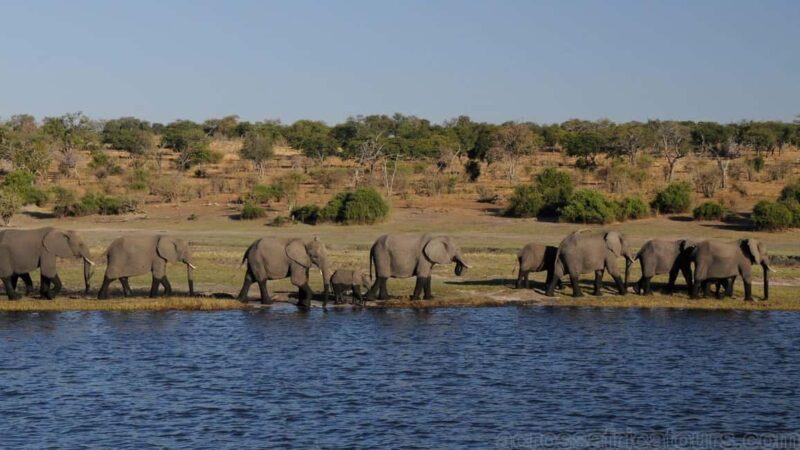 Best of Zimbabwe 6-Day Adventure - Departure and Practicalities