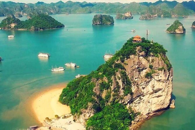 Best Premium Halong Bay Cruise from Halong International Port - Who Should Book This Tour?
