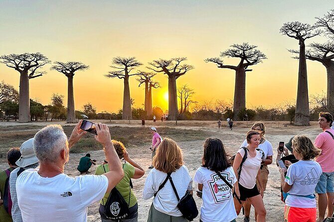 Best Price 7 Days Madagascar Family Tour with Baobabs Avenue - Key Points