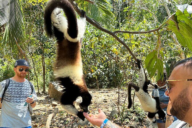 Best Price 7 Days Madagascar Family Tour with Baobabs Avenue - FAQ