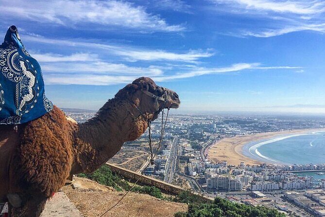 Best Private Agadir City Tour - Key Points