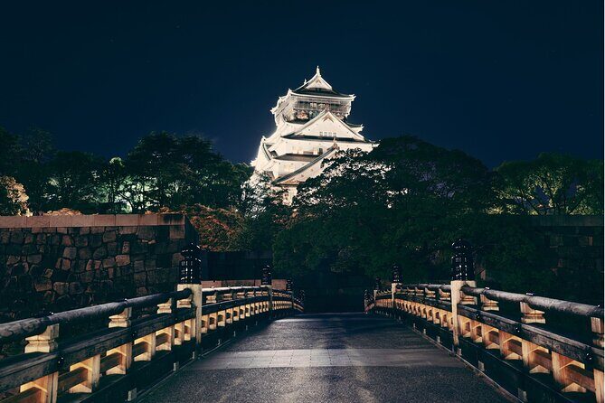 Best Private Osaka Walking Tour With A Guide 100% Personalised - Key Points