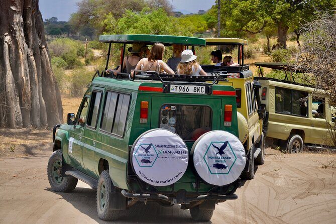 Best Safari and Zanzibar 10-Days Excursions - In-Depth Look at the Itinerary and Experience