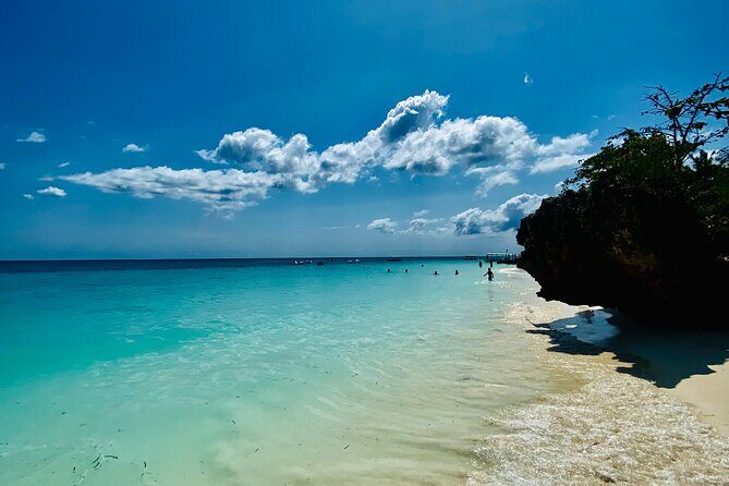 Best Safari and Zanzibar 10-Days Excursions - The Bottom Line: Who Should Consider This Tour?
