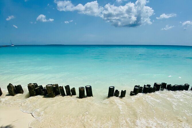 Best Safari and Zanzibar 10-Days Excursions - FAQ