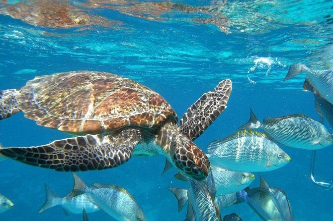 Best Seller - Surin Islands Snorkeling Trip from Khao Lak - A quick introduction to the Surin Islands snorkeling tour
