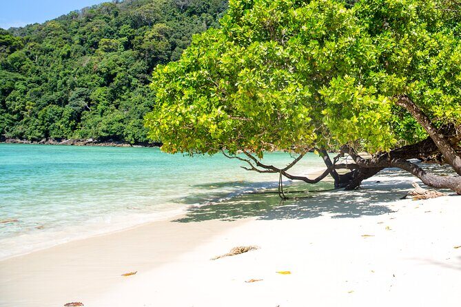 Best Seller - Surin Islands Snorkeling Trip from Khao Lak - The pros and cons in a nutshell
