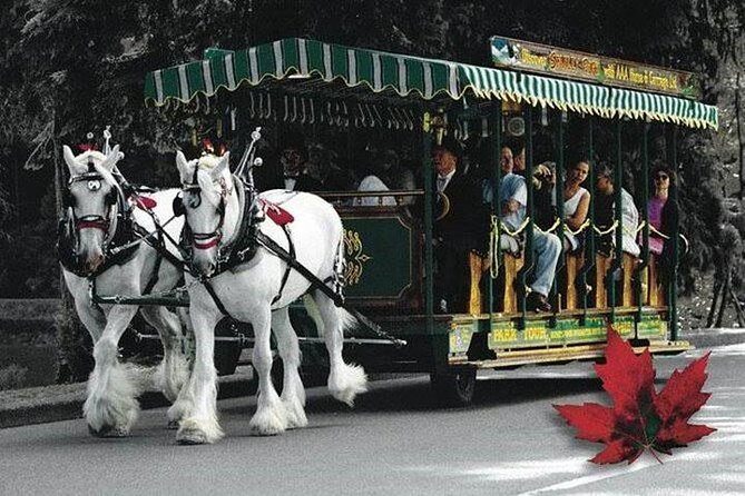 Best Selling Vancouver Sightseeing Tour 5 Hours(Private setting) - Key Points