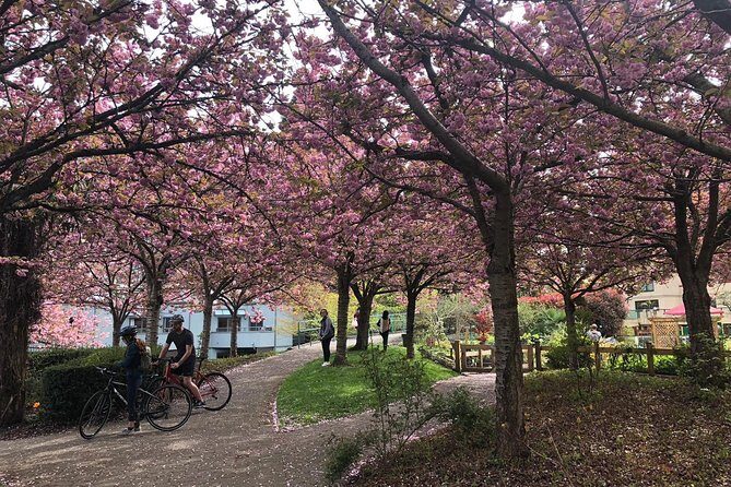 Best Selling Vancouver Sightseeing Tour 5 Hours(Private setting) - Practical Details and Considerations