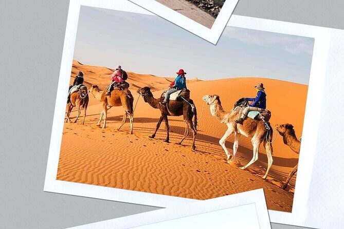Best shared 3 days Fes to Marrakech Desert Tour - Key Points
