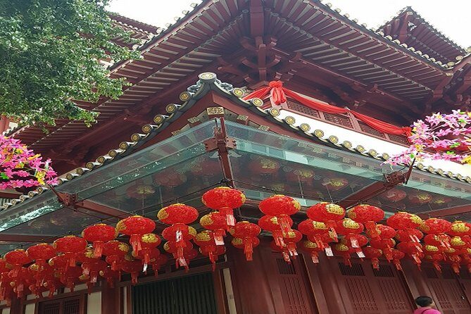 BEST Singapore Private City Tour by an Insider (1/2/3 x full-day) - Exploring Singapore on Your Terms