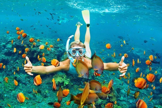 Best Snorkeling Trip at Blue Lagoon Bali - Practical Tips for Your Snorkeling Trip