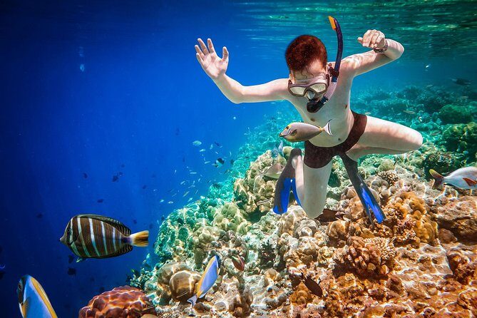 Best Snorkeling Trip at Blue Lagoon Bali - Who Should Consider This Tour?