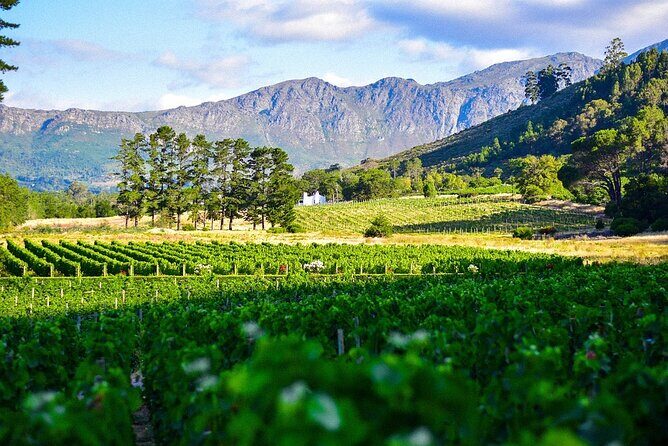 Best South Africa Tour to Kruger National Park and Cape Town - What This Tour Means for You