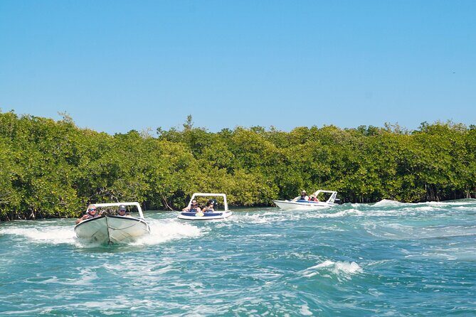 Best SpeedBoat and Snorkeling tour with Transfer from Cancun - Practical Tips for Booking and Enjoyment