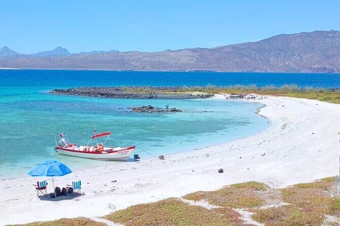 Best Tour to Coronados Island - Key Points