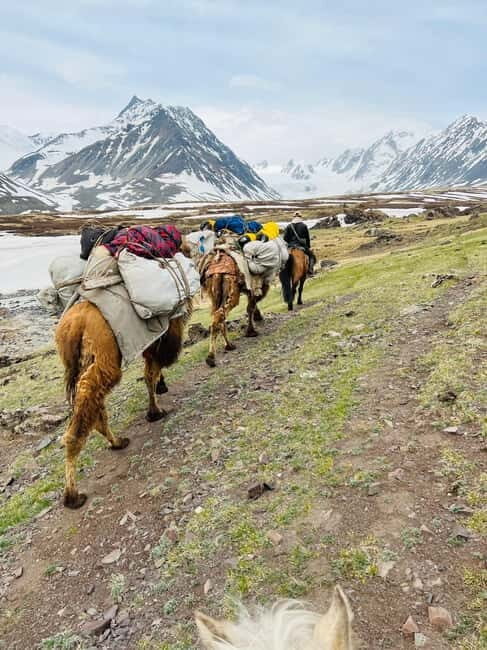 Best trekking tour in Mongolia - The Sum Up