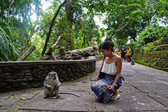 Best Ubud Highlights - Private Day Tour - Who this tour is best for