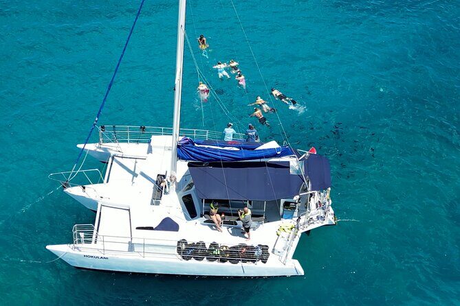 Best Waikiki Snorkel Tour: Guaranteed Turtles at Turtle Canyon - Why This Tour Works Well