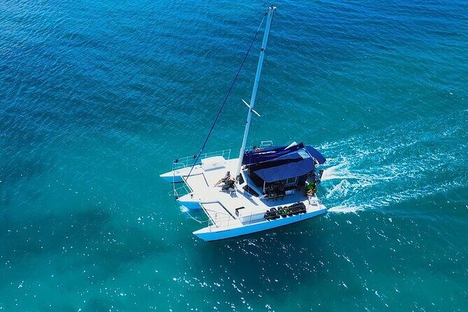 Best Waikiki Whale Watching in Honolulu: Whales Guaranteed - The Sum Up