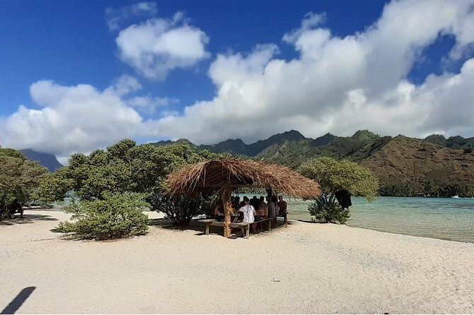 Best Way to Interact with Ocean Wildlife with Lunch. 6H - Exploring Moorea’s Ocean Wildlife with Lunch: A Detailed Review