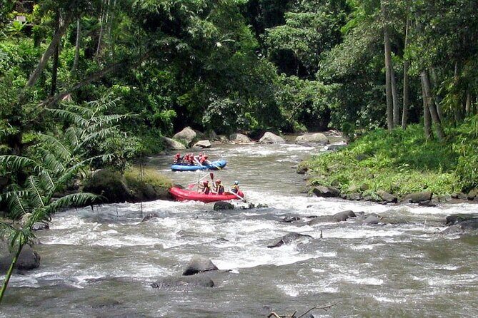 Best White Water Rafting with Lunch and Private Transfer in Bali - FAQs