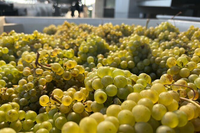 Best Wines Best Views | Full Day Private Willamette Valley Tours - Key Points
