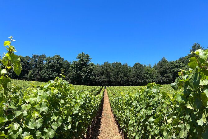 Best Wines Best Views | Full Day Private Willamette Valley Tours - FAQ