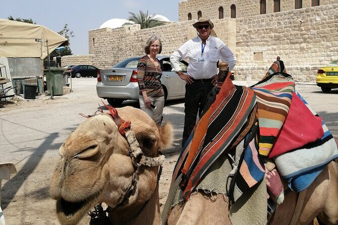 Bethlehem, Jericho, Hisham palace and Qumran Full Day Private Tour - Who Should Consider This Tour?