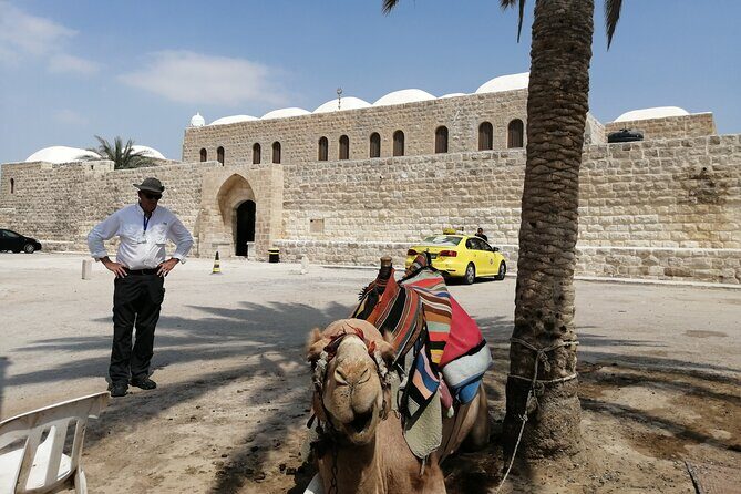Bethlehem, Jericho, Hisham palace and Qumran Full Day Private Tour - FAQ