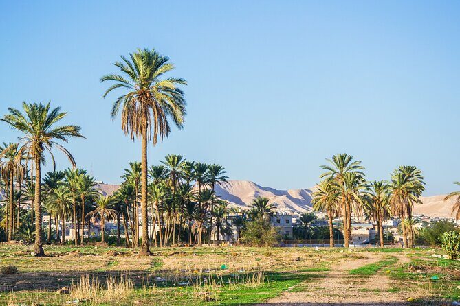 Bethlehem, Jericho & Jordan River Tour from Tel Aviv - The Sum Up