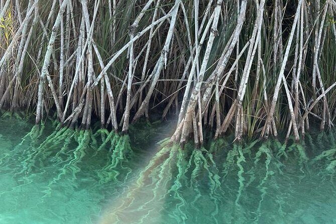 Beyond Bacalar: Pirate Route Exploration + River Float + Lunch - FAQ