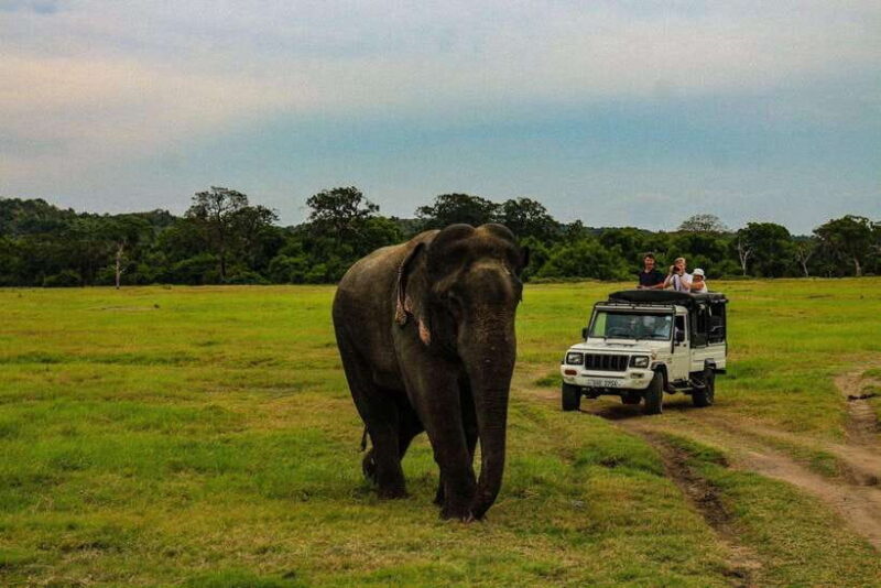 Beyond Beaches: 4-Day trip into Sri Lankas Cultural Heart - Exploring the Core of Sri Lanka in Four Days