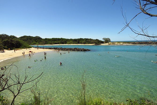 Beyond Byron Hinterland Tour - An In-Depth Look at the Beyond Byron Hinterland Tour