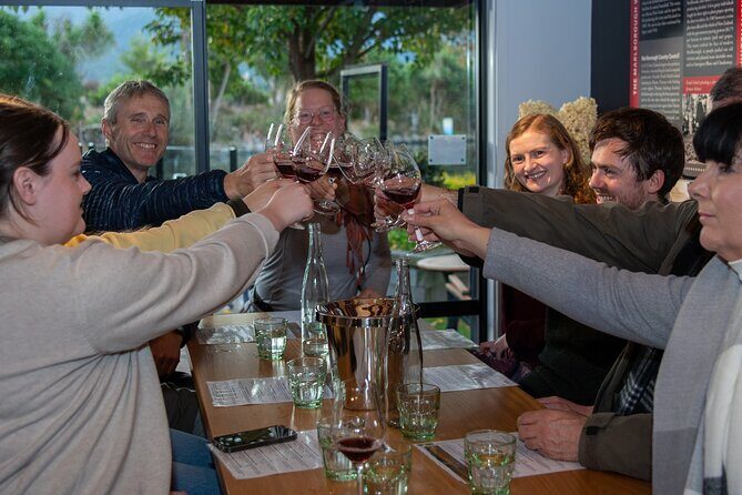 Beyond the Vines - Full-Day Marlborough Wine Tasting Tour - Key Points