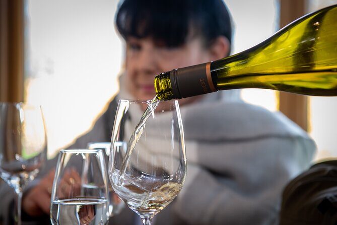 Beyond the Vines - Full-Day Marlborough Wine Tasting Tour - The Experience and Itinerary Breakdown