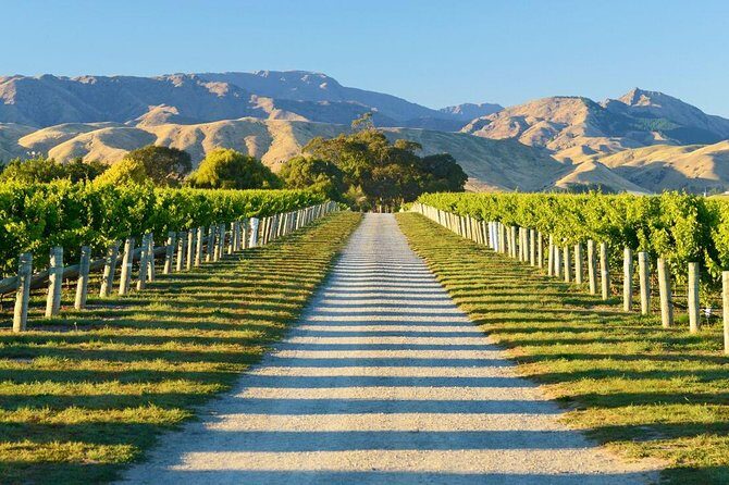 Beyond the Vines - Full-Day Marlborough Wine Tasting Tour - FAQ