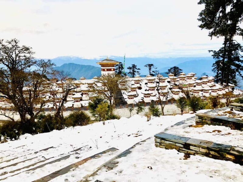 Bhutan: 7-Day Cultural Tour of Paro, Thimphu, and Punakha - Who This Tour Is Best For