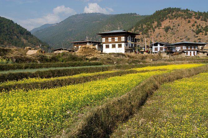 Bhutan Vacation (5 Nights-6 Days) - Day 6: Farewell