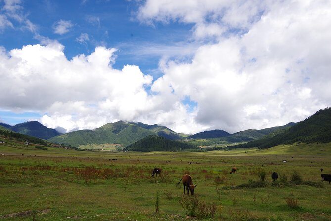 Bhutan Vacation (5 Nights-6 Days) - Why This Tour Adds Value