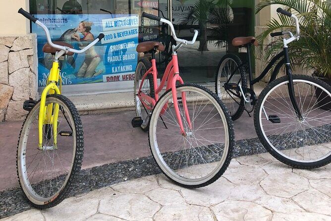 Bicycle Adventure With Snorkel and Lunch - Key Points