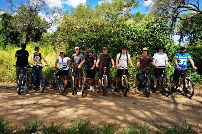 Bicycle Hire - The Value of Guided, Flexible Exploration